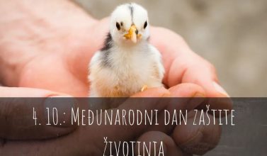 .facebook_1633341138842_6850729272012887150