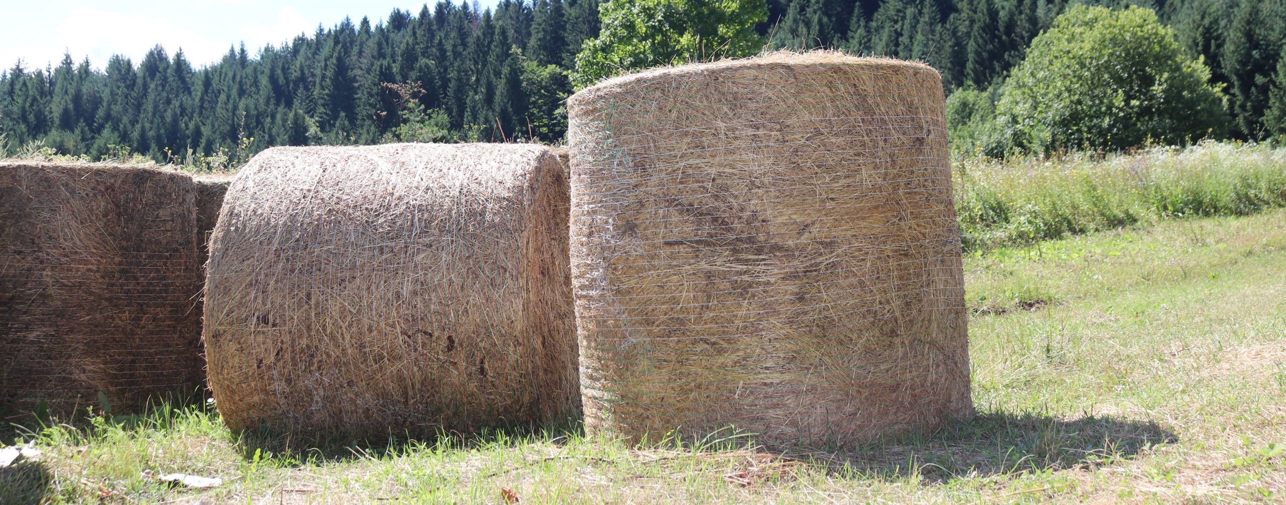 Kako spriječiti brisanje poljoprivrednog zemljišta iz ARKOD-a za koje nemate dokaze o vlasništvu ili posjedu